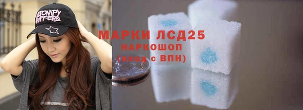 ПСИЛОЦИБИНОВЫЕ ГРИБЫ Надым