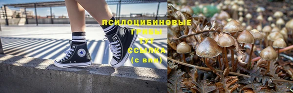 индика Навашино